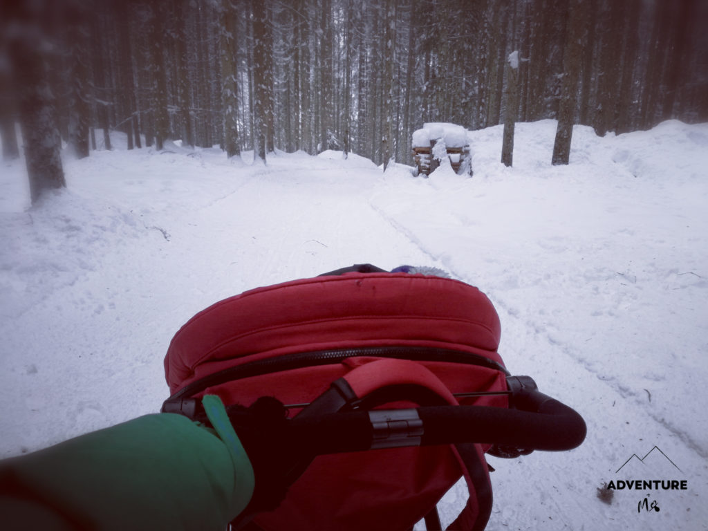 Ein roter Kinderwagen wird durch den verschneiten Wald geschoben
